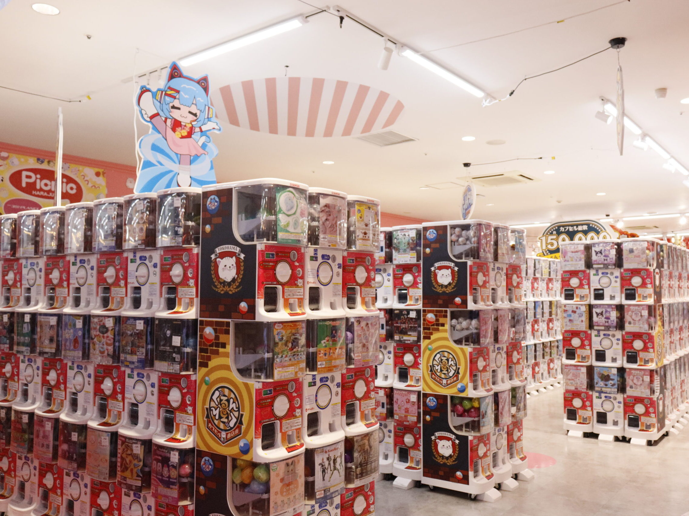 店内紹介 - サープラ横浜あそびタウン